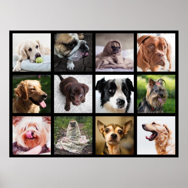 Cute & Funny Dogs Photo Collage Poster 1 (Front)