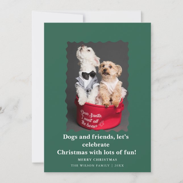 Cute Funny Dogs Saying Christmas Holiday Card  (Front)