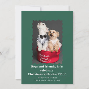 Cute Funny Dogs Saying Christmas Holiday Card 