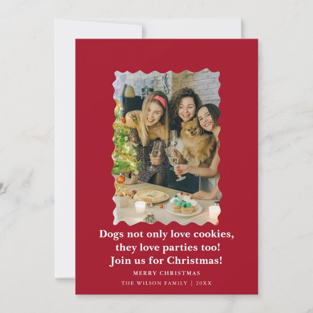 Cute Funny Dogs Saying Christmas Holiday Card  (Front)