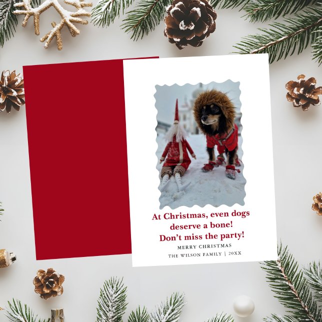 Cute Funny Dogs Saying Christmas Holiday Card  (Creator Uploaded)