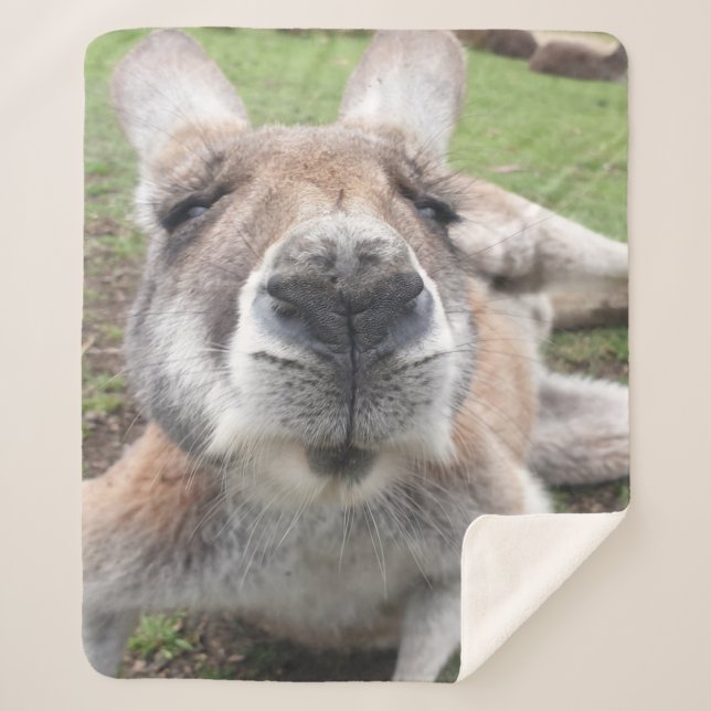 Cute Funny Face Kangaroo Kawaii Animal Australia Sherpa Blanket (Front)