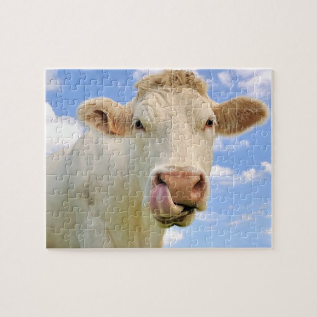 Cute Funny Farm Charolais Cow Licking Nose Jigsaw Puzzle (Horizontal)