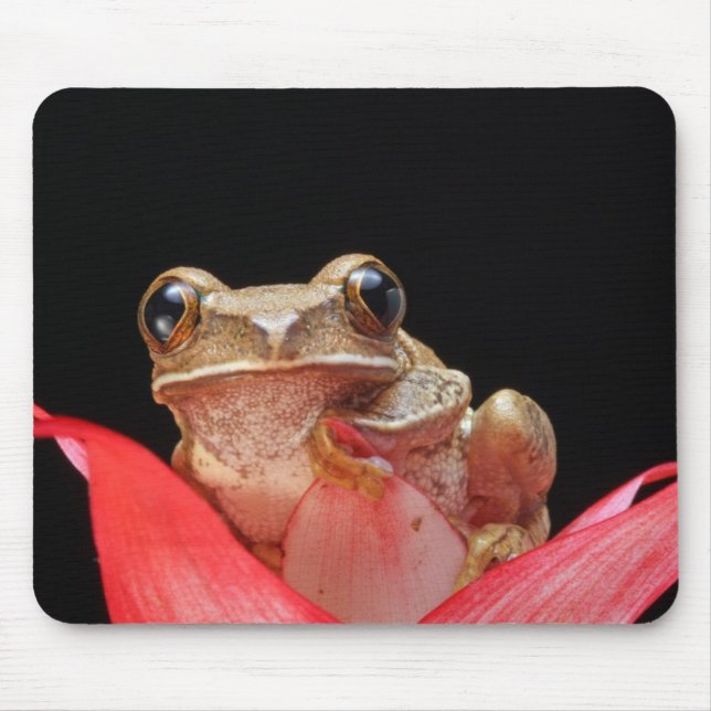 Cute, Funny Frog Holding onto Lily - Mouse Pad (Front)