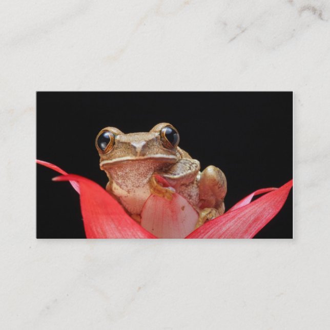 Cute, Funny Frog in Lily Business Card (Front)