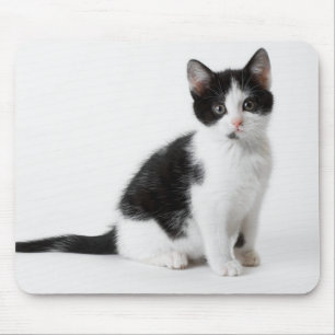 Cute Funny furry kitten black and white cat Mouse Mat