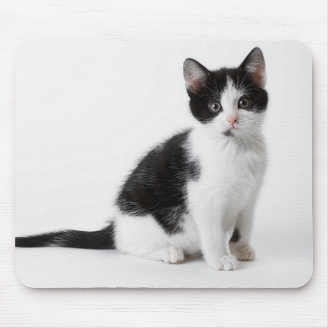 Cute Funny furry kitten black and white cat Mouse Mat (Front)