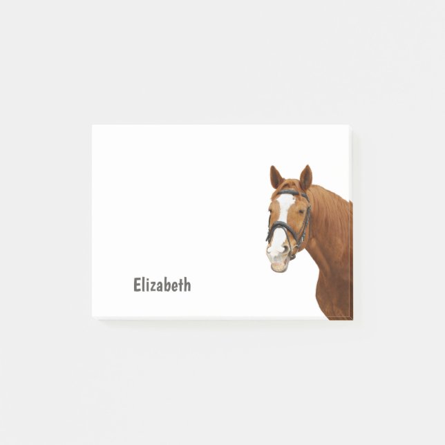 Cute Funny Horse Personalised Name Post-it Notes (Front)