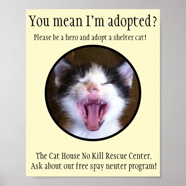 Cute Funny Kitten Photo Adopt a Shelter Cat Poster (Front)