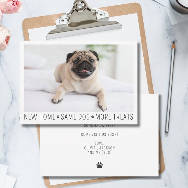 Cute Funny Modern New Home Photo Pet Dog Card (Creator Uploaded)