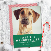 Cute Funny Naughty List Pet Photo Christmas Green
