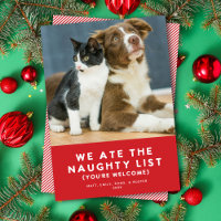 Cute Funny Naughty List Pet Photo Christmas Red