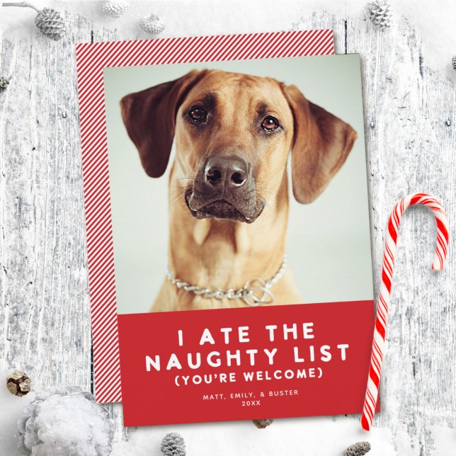 Cute Funny Naughty List Pet Photo Christmas Red Holiday Card (Creator Uploaded)