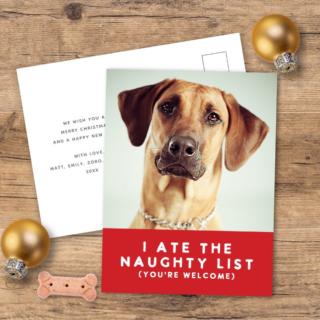 Cute Funny Naughty List Pet Photo Christmas Red Holiday Postcard (Creator Uploaded)