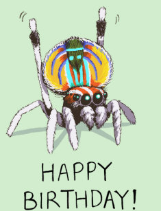 cute_funny_peacock_spider_happy_birthday_card-r2a87fc93cb054d99bebc885a5e17f7ed_em0c6_307.jpg