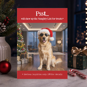 Cute Funny Pet Dog Photo Christmas Holiday Card