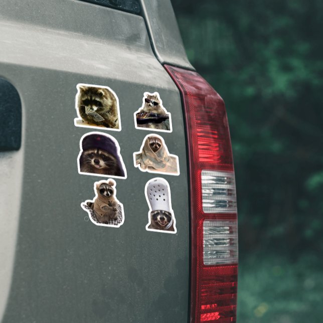 Cute/funny Racoon tiktok meme pack sticker bundle (Creator Uploaded)