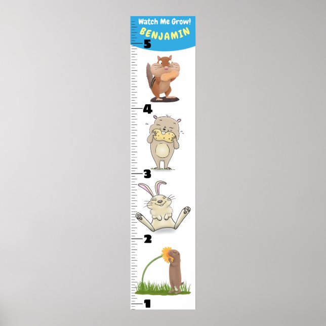 Cute funny rodents animals cartoon growth chart (Front)