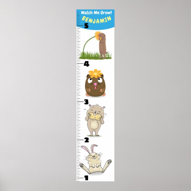 Cute funny rodents animals cartoon growth chart (Front)