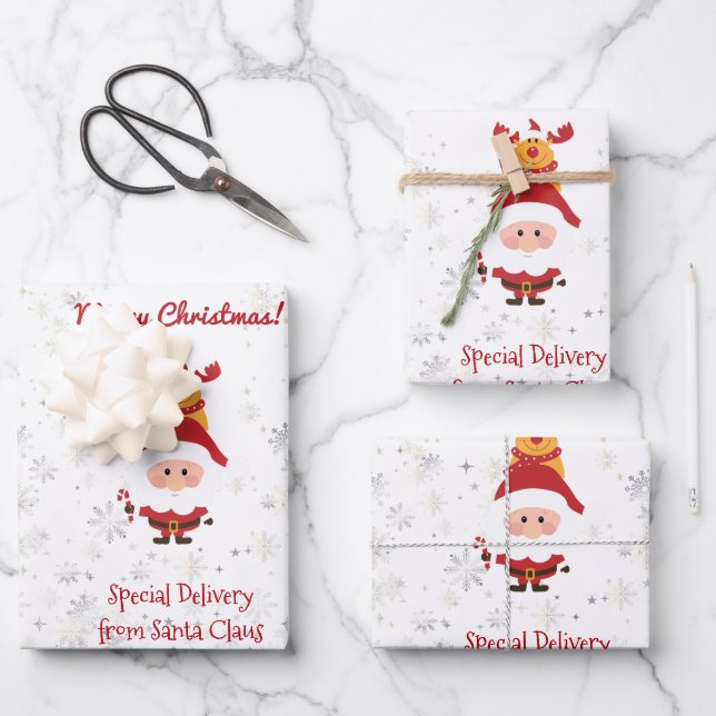 Cute Funny Rudolph Special Delivery from Santa Wrapping Paper Sheet (Front)