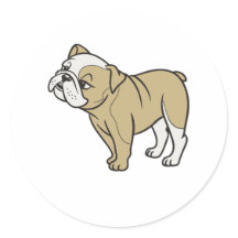 Cute Funny Sitting bulldogs 