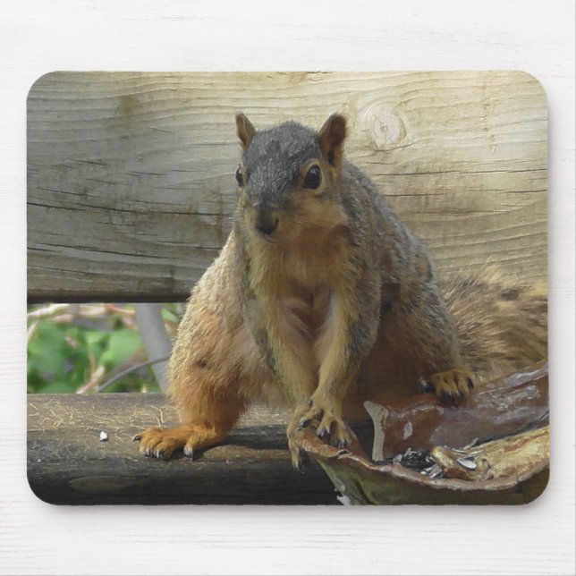 Cute funny Squirrel Computer Mouse Mat (Front)