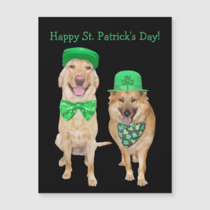 Cute, Funny St. Patrick's Day Irish Dogs Magnet