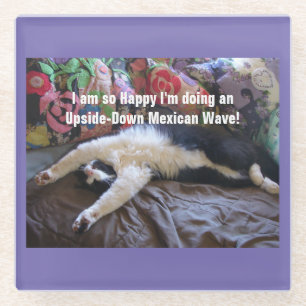 Cute Funny Tuxedo Cat Mexican Wave cats Glass Coaster
