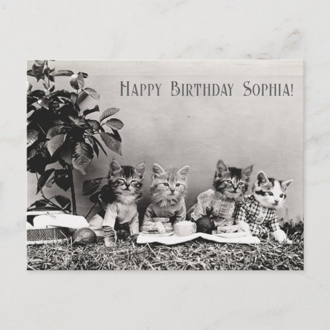 Cute Funny Vintage Cat Birthday Party Picnic Postcard (Front)