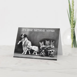 Cute Funny Vintage Dog Cat Pony Birthday Card