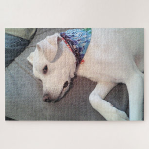 Cute Funny White Puppy Dog Brooding on Couch Jigsaw Puzzle