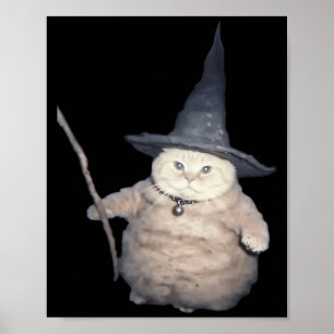 Cute Funny Wizard Cat Weird Kitten Cat Meme Spooky Poster