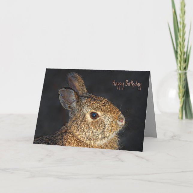 Cute Furry Bunny Rabbit in Sunlight Card (Front)