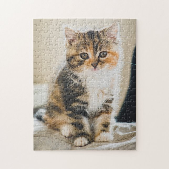 Cute Fuzzy Calico Tabby Kitten Cat Photo Jigsaw Puzzle (Vertical)