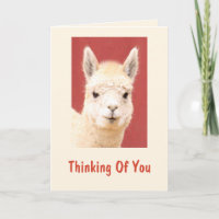 Cute Fuzzy Llama Get Well