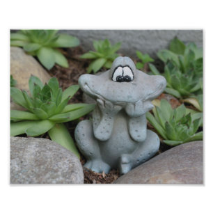 Cute Garden Frog Succulent Garden 8x10 Photo Print