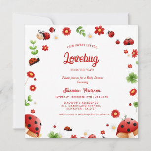 Cute Garden little ladybug baby shower Invitation