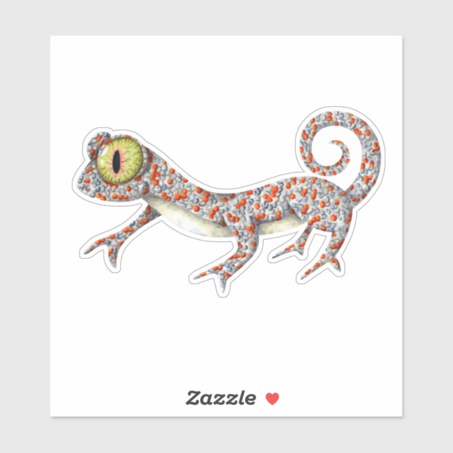 Cute Gecko Illustrated (Sheet)