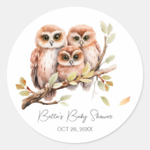 Cute Gender Neutral Owl Baby Shower  Classic Round Sticker