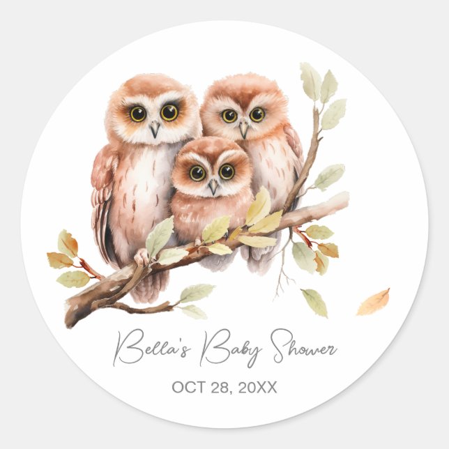 Cute Gender Neutral Owl Baby Shower  Classic Round Sticker (Front)