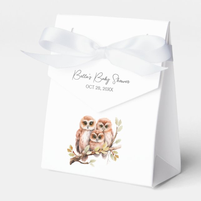 Cute Gender Neutral Owl Baby Shower  Favour Box (Front Side)
