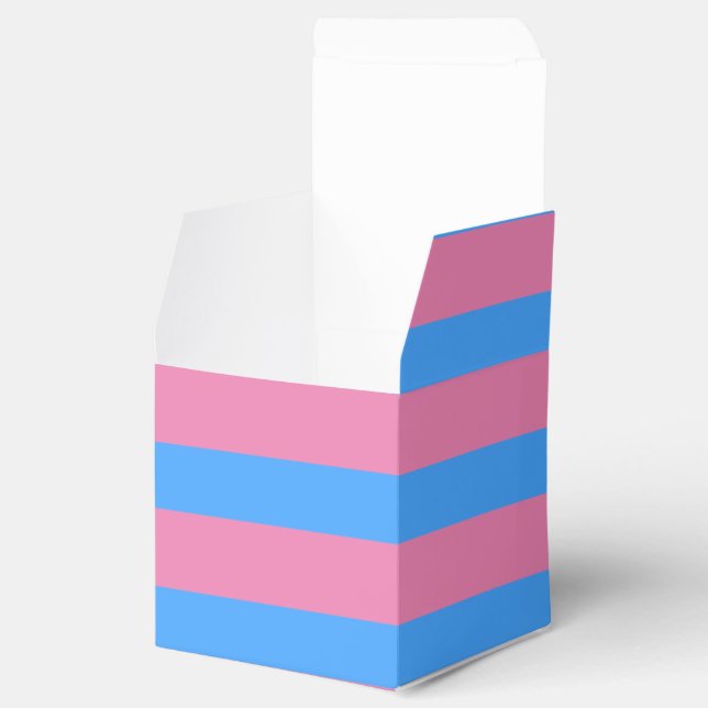 Cute Gender Reveal Ideas,  Favour Box (Opened)