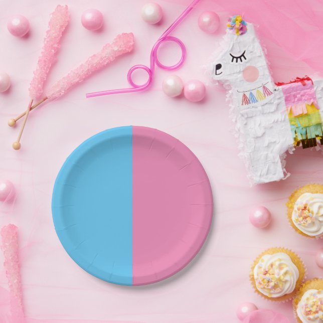 Cute Gender Reveal Ideas,  Paper Plate (Party)