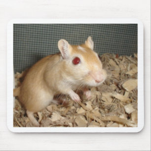Cute Gerbil Mouse Mat