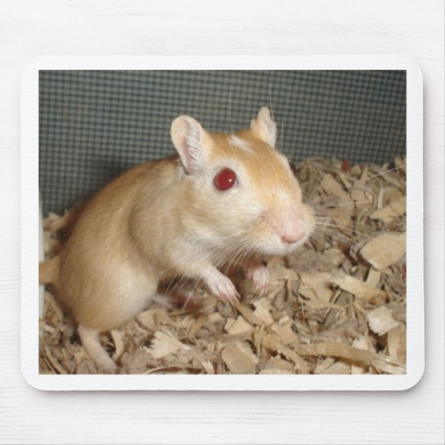 Cute Gerbil Mouse Mat (Front)