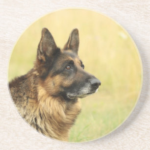 Cute German Shepherd Coaster