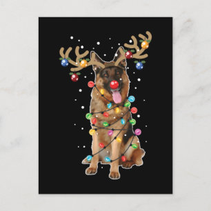 Cute German Shepherd Dog Funny Xmas Holiday Gift Postcard