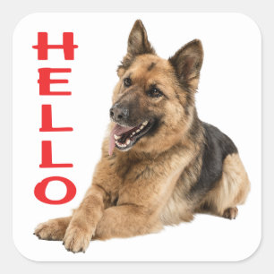 Cute German Shepherd Hello Puppy Dog Square Sticker
