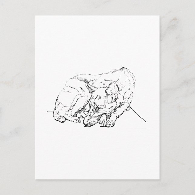 Cute German Shepherd Personalised Postcard (Front)