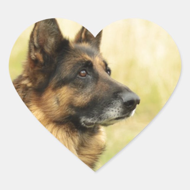 Cute German Shepherd  Stickers (Front)